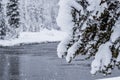 Snow falling on winter scene of pine trees and the Madison river in Yellowstone Royalty Free Stock Photo