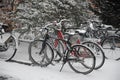 SNOW FALLS IN DANISH CAPITAL COPENHAGEN DENMARK Royalty Free Stock Photo