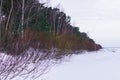 Snow fell asleep dunes and pines of the Baltic Bay. Winter landscape Royalty Free Stock Photo