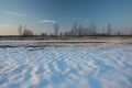 Snow on the field lit by sunset. Trees and evening sky Royalty Free Stock Photo