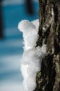 Snow figure on a tree