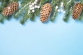 Snow Fir tree branch and cones on blue background. Royalty Free Stock Photo