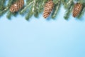 Snow Fir tree branch and cones on blue background. Royalty Free Stock Photo