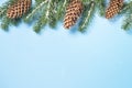 Snow Fir tree branch and cones on blue background. Royalty Free Stock Photo