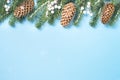 Snow Fir tree branch and cones on blue background. Royalty Free Stock Photo