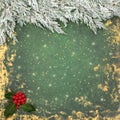 Snow Fir Winter Holly Christmas New Year Background Royalty Free Stock Photo