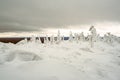 Snow firs on mountain range under cloudy winter sky