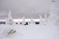 Snow firs on mountain range under cloudy winter sky