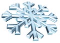 Snow flake Royalty Free Stock Photo