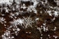 Snow flake macro. amazing crystal closeup on old windowsill, spa