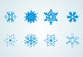 Snow flakes Royalty Free Stock Photo