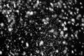 Snow flakes falling on black background. Royalty Free Stock Photo