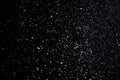 Snow flakes falling on black background. Royalty Free Stock Photo