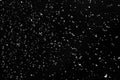 Snow flakes falling on black background. Royalty Free Stock Photo