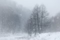 Snow flakes falling over landscape in winter Royalty Free Stock Photo