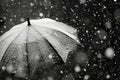 snow flakes falling over the umbrella Royalty Free Stock Photo