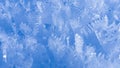 Snow flakes in ice crystals Royalty Free Stock Photo