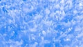 Snow flakes in ice crystals Royalty Free Stock Photo