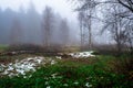 Snow and fog in the highlands of the Black Forest in Germany