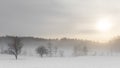 Snow fog of winter, Stockholm, Sweden Royalty Free Stock Photo