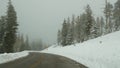 Snow and fog in wintry forest, driving auto, road trip in winter Utah USA. Coniferous pine trees, mystery view thru car Royalty Free Stock Photo
