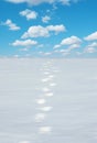 Snow footprints Royalty Free Stock Photo