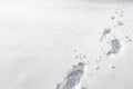 Snow footprints. Winter weather concept. Winter wandering scene Royalty Free Stock Photo