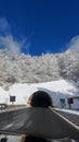 Snow forest long tunnel