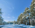 Snow, forest and mountain road or outdoor winter in Canada for environment explore, holiday or cold weather. Woods Royalty Free Stock Photo