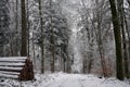 Snow in the forest near Robern at wintertime Royalty Free Stock Photo