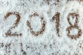 2018 on the snow Royalty Free Stock Photo