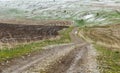 Snow in freshly sown wheat fields Royalty Free Stock Photo