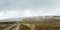 Snow in freshly sown wheat fields Royalty Free Stock Photo