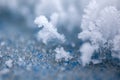 Snow, frost close up,  a snowflake in natural surroundings Royalty Free Stock Photo