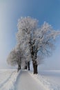 Beautiful winter landscape: Frosty trees in January, Austria. Postcard Royalty Free Stock Photo