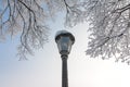 Beautiful winter landscape: Frosty trees in January, Austria. Postcard Royalty Free Stock Photo