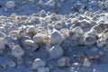 Snow, frost, and wind create irregularly shaped ice balls on the shores of Lake Michigan Royalty Free Stock Photo