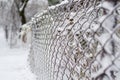 Snow frozen metal fence close-up. Chain link on frosty day, selective focus