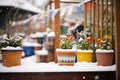 snow gathering on flower pots Royalty Free Stock Photo