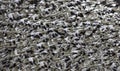 Snow Geese Abstract Thousands Flying