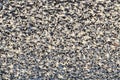 Snow Geese In Flight Royalty Free Stock Photo