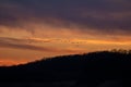 Snow Geese in flight at Sunset Royalty Free Stock Photo