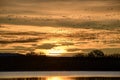 Snow geese flock at sunrise Royalty Free Stock Photo