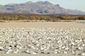 Snow geese on frozen field at the Bosque del Apache National Wildlife Refuge, near San Antonio and Socorro, New Mexico