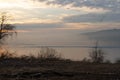 Snow geese on lake at sunrise Royalty Free Stock Photo