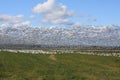 Snow goose migration in Quebec, Canada Royalty Free Stock Photo