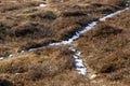 Snow in a grass creating letter ypsilon