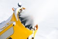 Snow gun in the mountains Royalty Free Stock Photo