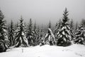 Snow in the Harz mountains