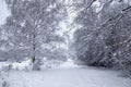 The snow has settled on the road in November Royalty Free Stock Photo